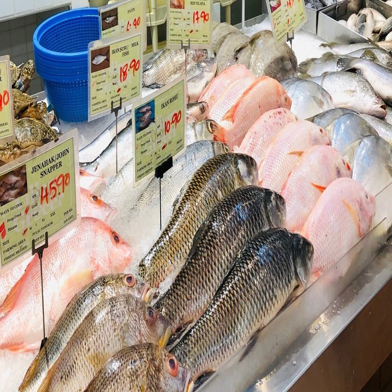 Facebookがinstagramを買ったのはhead Snapper Deepl翻訳 と Google翻訳 の違いについて Yuriko 海外子育て インターナショナルスクールの日常 Note
