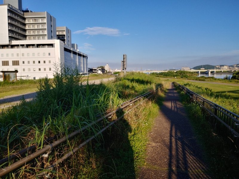画像19
