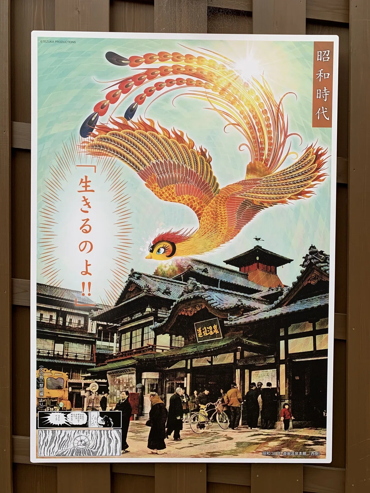 画像6