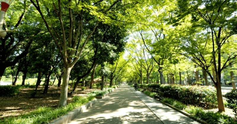 全ての 兵隊 意味