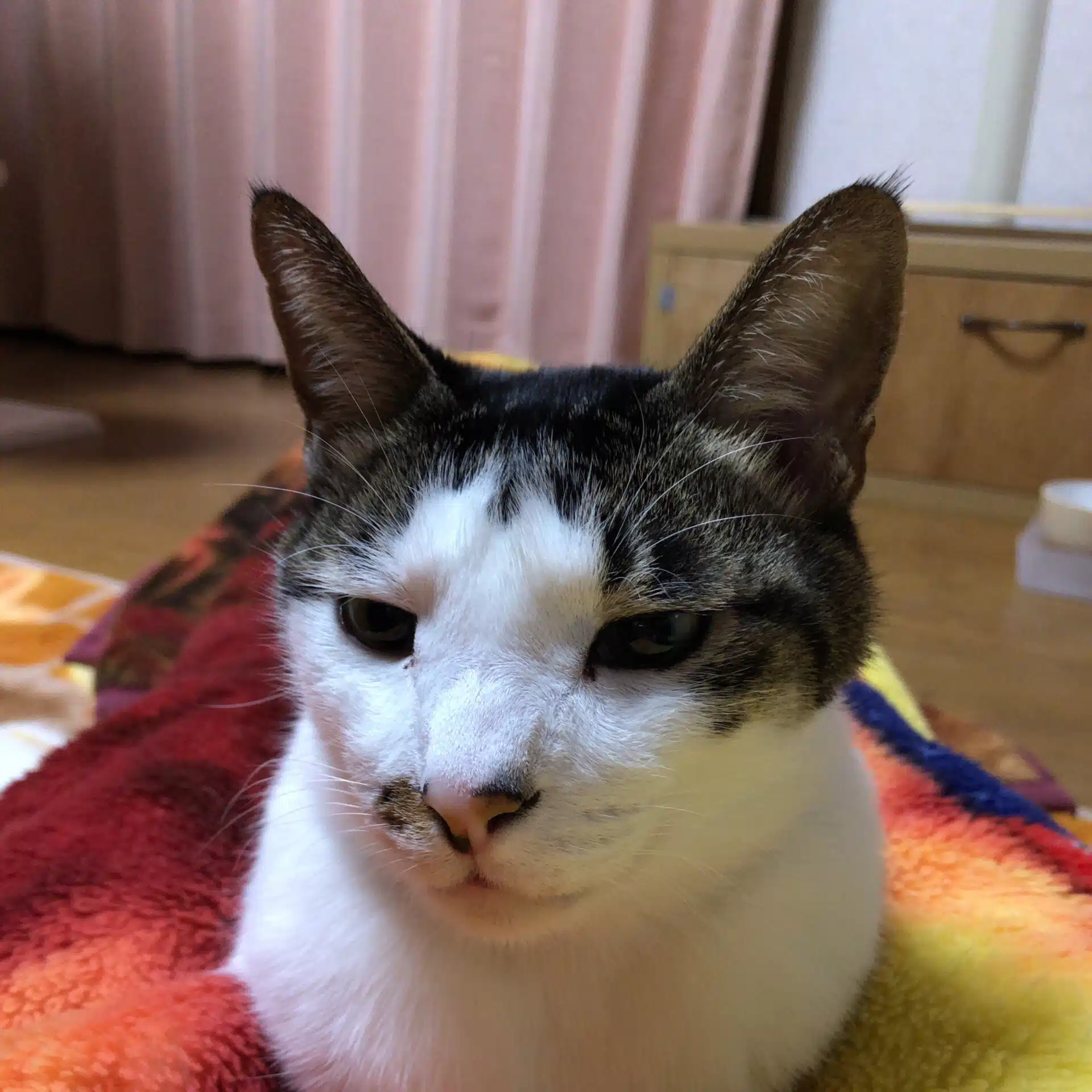 ゆうちん