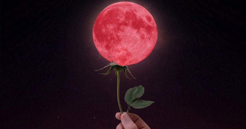 マヤ暦kin217 の新着タグ記事一覧 Note つくる つながる とどける