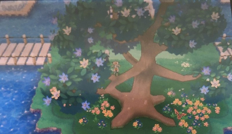 メガシンカ ゲンシカイキ Zワザ ダイマックス の設定について 陰性代替 Note