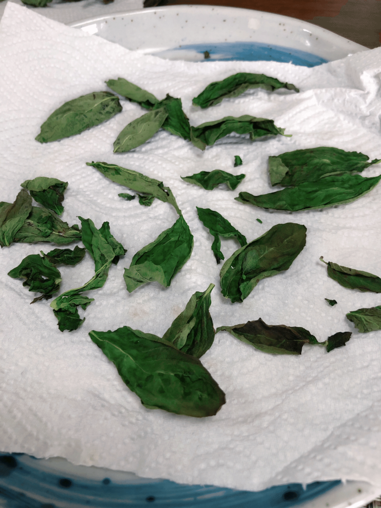 晩酌おつまみに使える 黒くならない レンジでバジルの乾燥方法 ゆみ 晩酌おつまみ Note