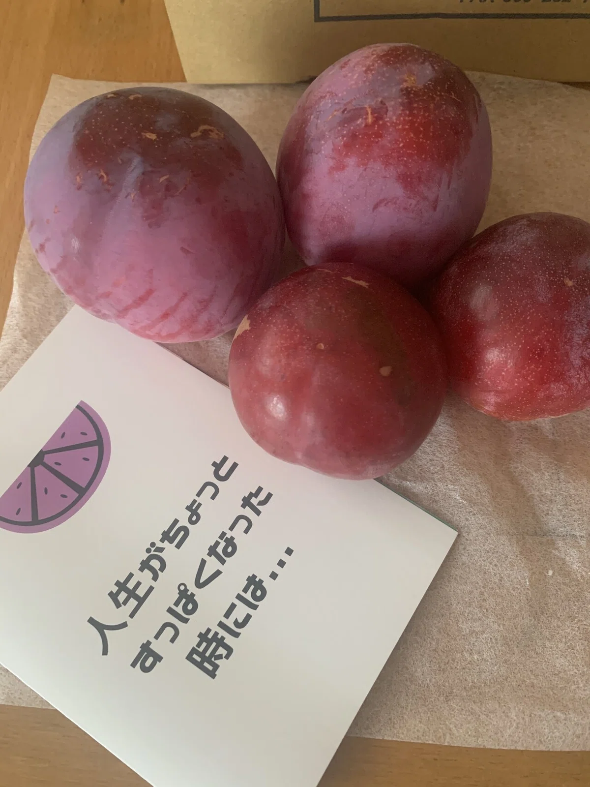 画像2