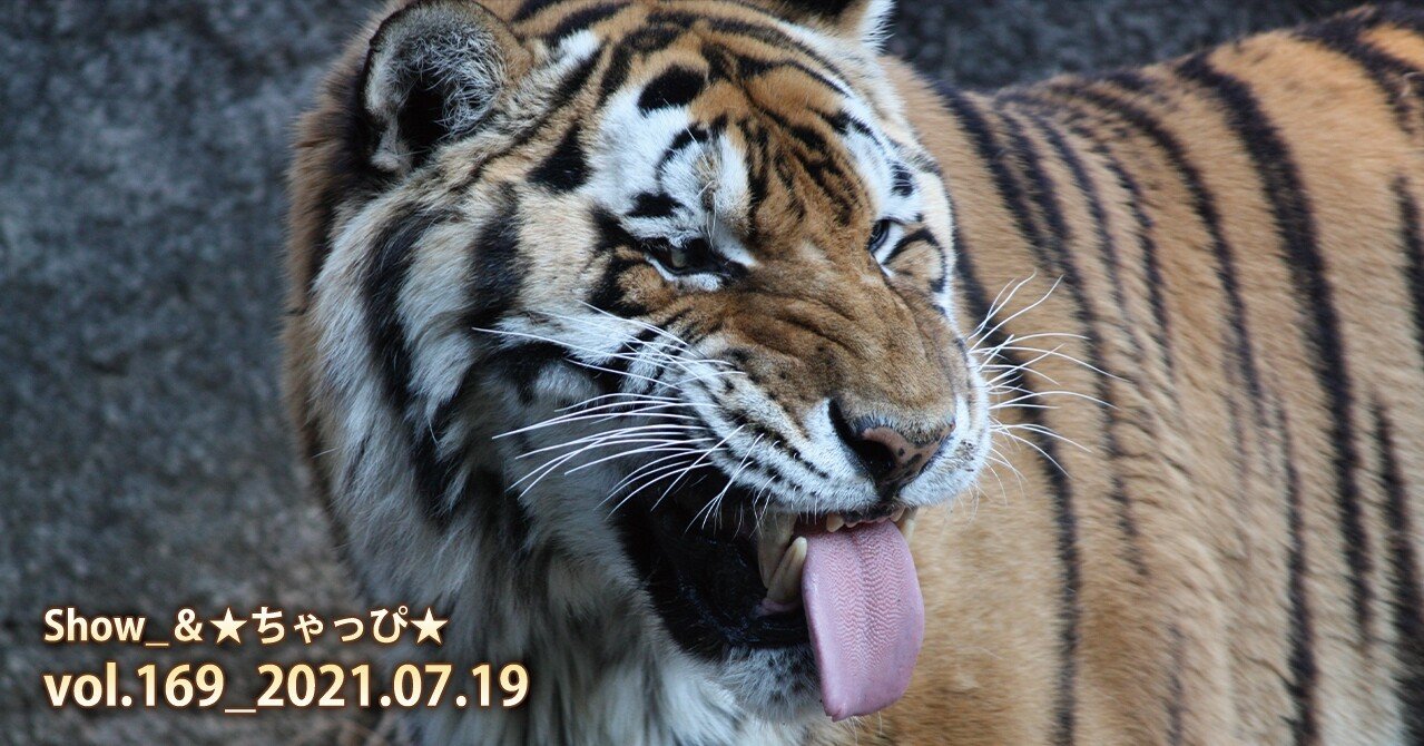 虎の舌 ちゃっぴ そう妻から呼ばれている男 の いろいろ気になってること 美味しいもの ダイエットもの 妙なもの などなど Note 虎の舌 ちゃっぴ そう妻から呼ばれている男 の いろいろ気になってること 美味しいもの ダイエットもの 妙なもの などなど Note