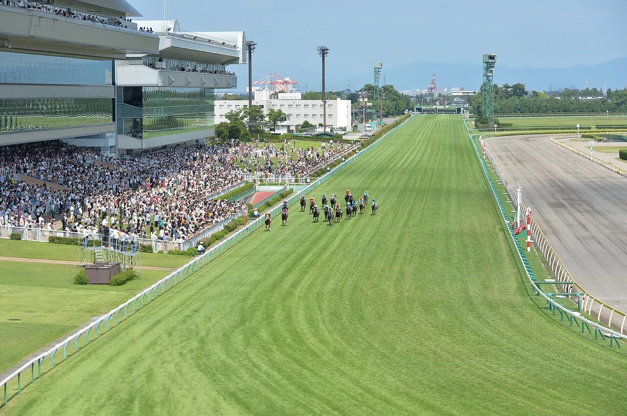 ライオンボス　実使用　ゼッケン　新潟競馬場　アイビスサマーダッシュ 走らせるならどの名馬？「ウマ娘」にも登場するアイビスサマーダッシュ