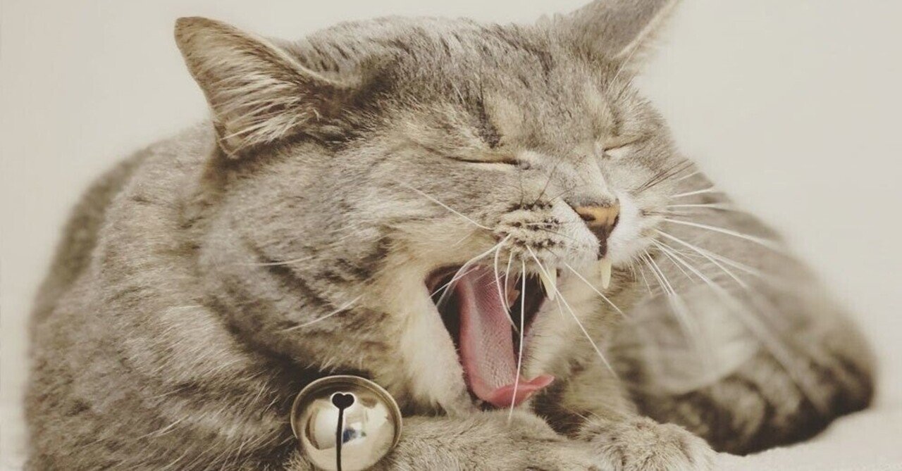 人のあくびはペットにうつる うつらない げーしー Note