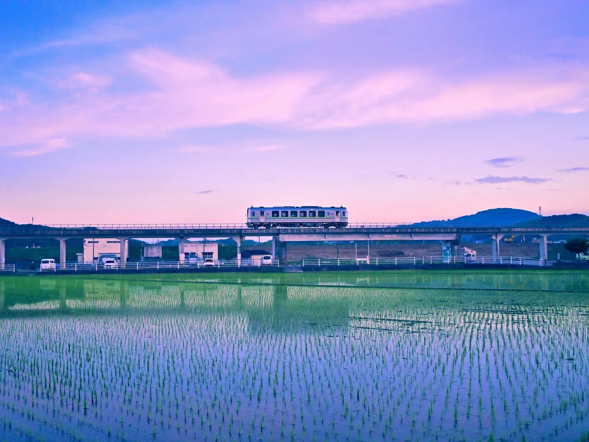 画像5
