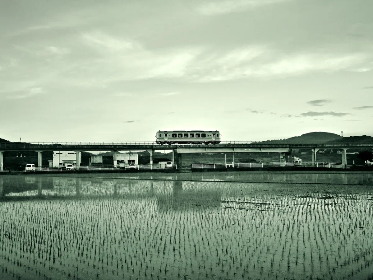 画像6