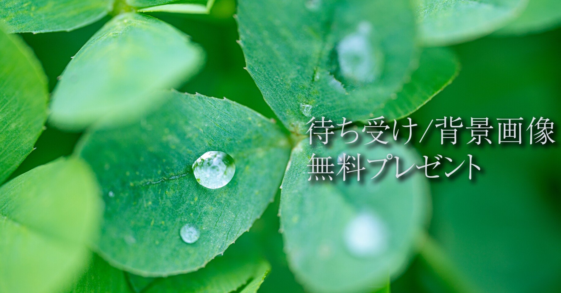 スマホ待ち受け Zoom用背景画像プレゼント Sigma 105mm F2 8 Dg Dn Macro レンズレビュー動画をアップしました Kusuguru Note スマホ待ち受け Zoom用背景画像プレゼント Sigma 105mm F2 8 Dg Dn Macro レンズレビュー動画をアップしました Kusuguru Note