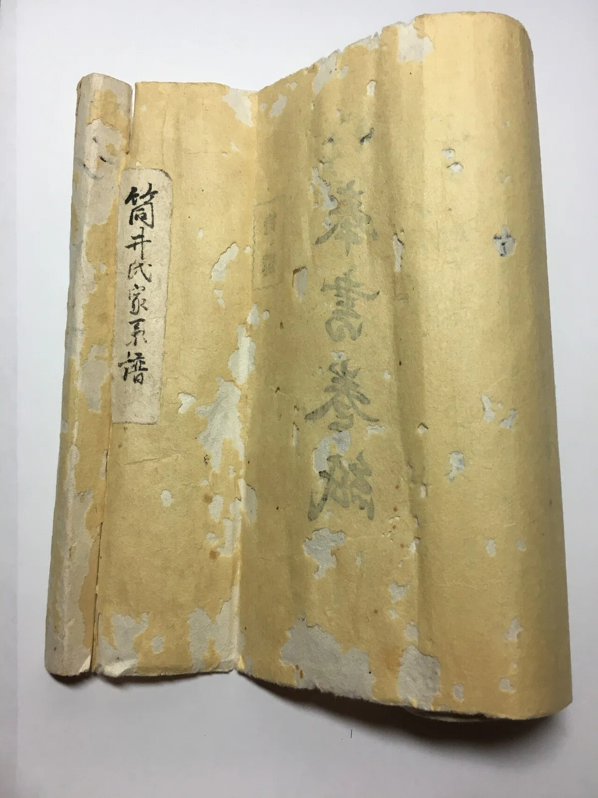 画像4