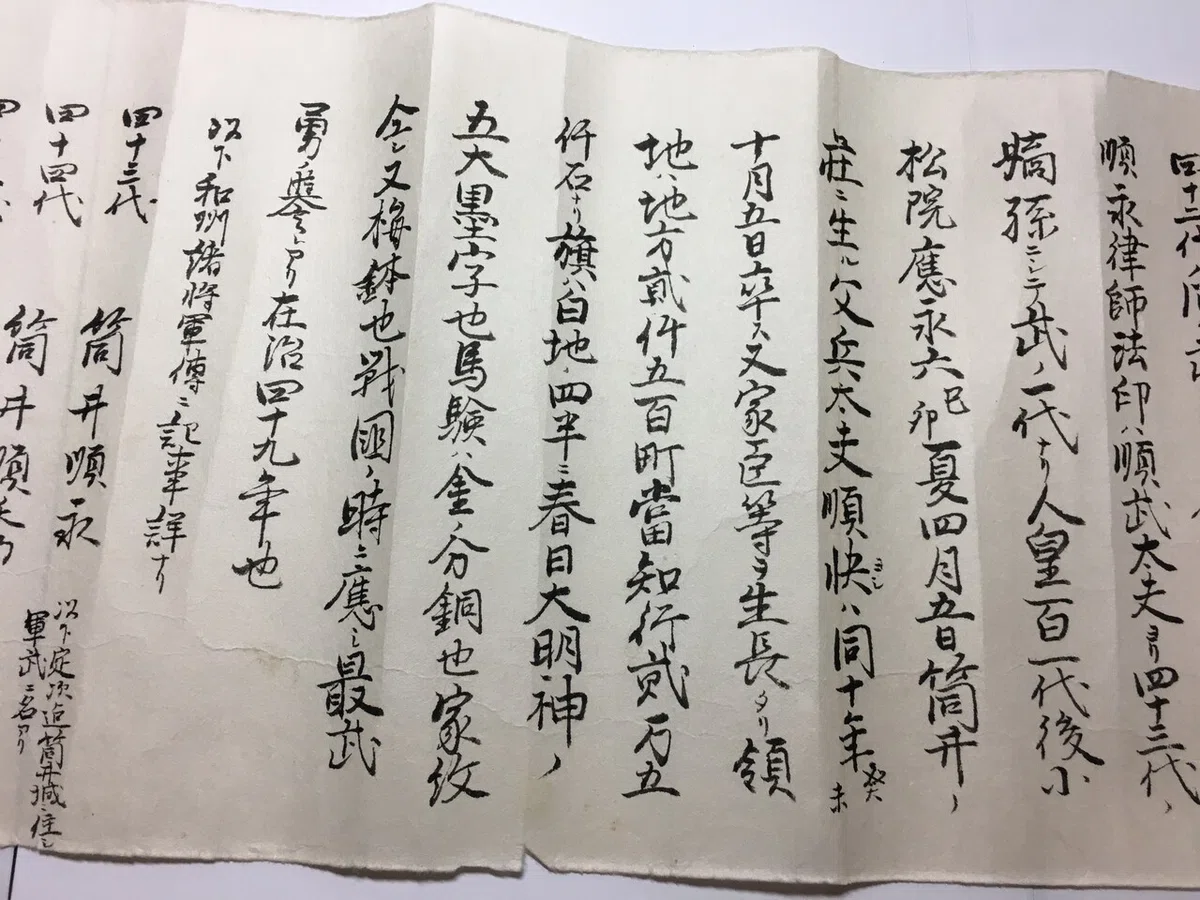 画像7