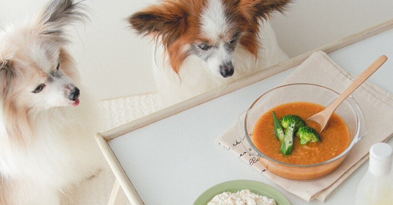 焼き豆腐ライスの野菜カレー 月額限定 手作り犬ごはんレシピ いちかわあやこ 犬ごはん先生 Note