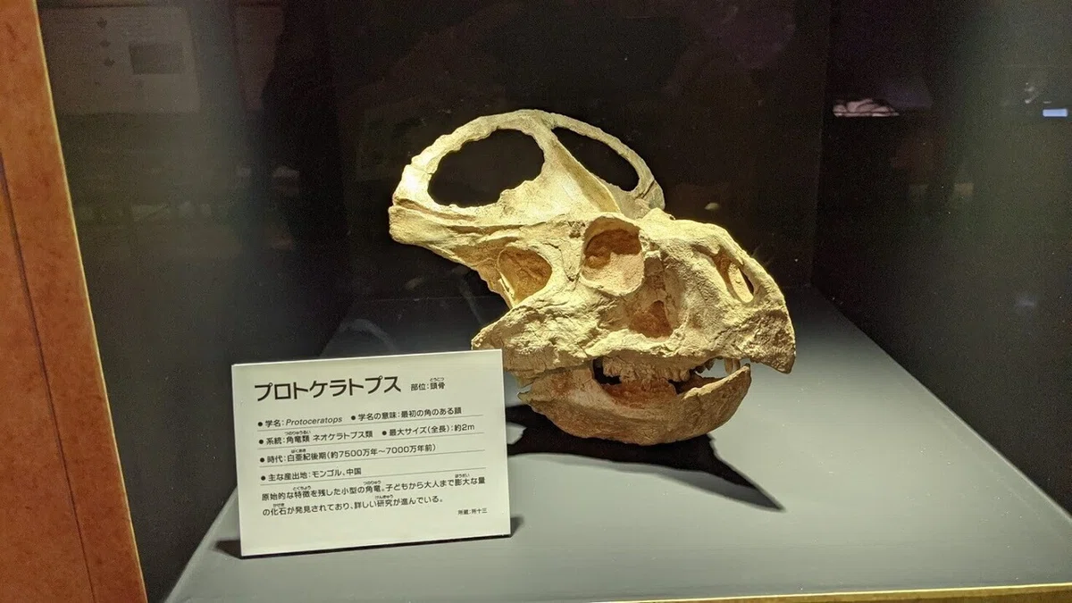 画像7