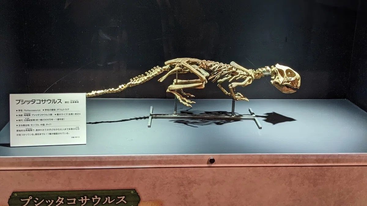 画像18