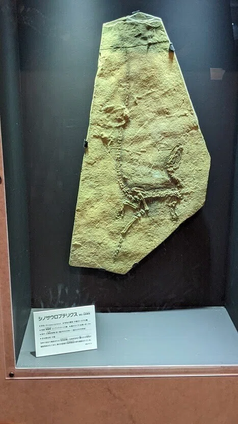 画像19