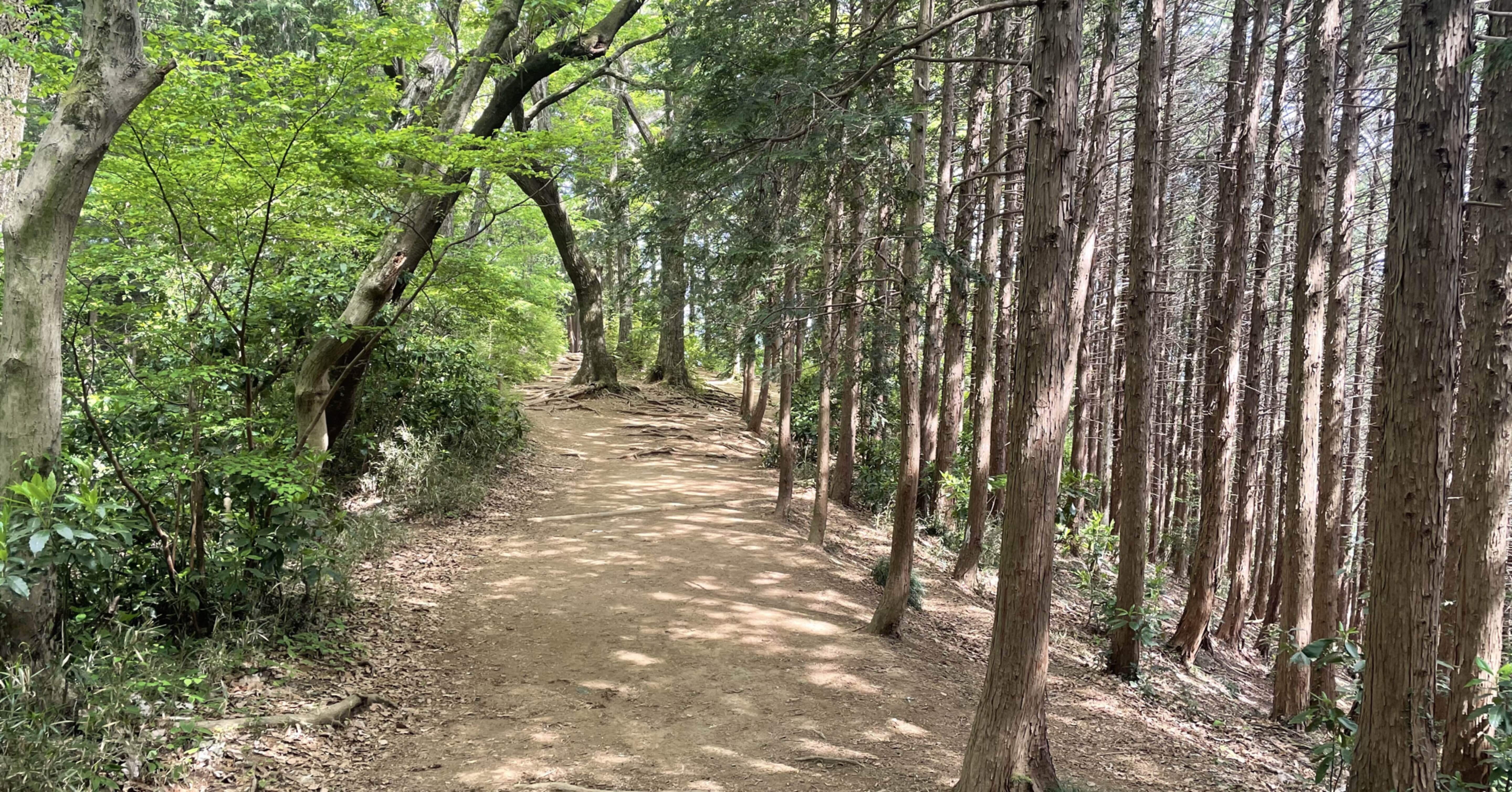 婚約破棄後の生活 吉岡ほうか Note 婚約破棄後の生活 吉岡ほうか Note