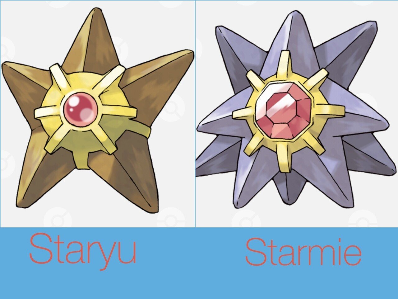 ポケモンの英語名全部覚える日記 第1世代後編 リユルン Note ポケモンの英語名全部覚える日記 第1世代後編 リユルン Note