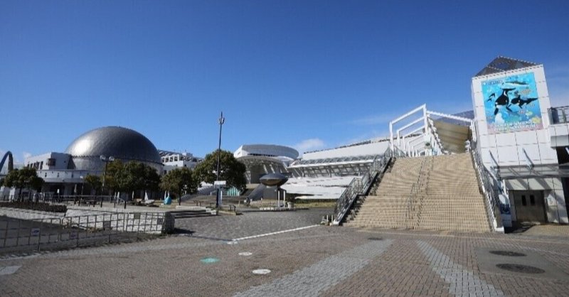 名古屋港水族館、名古屋市役所の運営ではないんです、、、でも名古屋が誇る施設なので取材してきました！（ウミガメの話が多め）