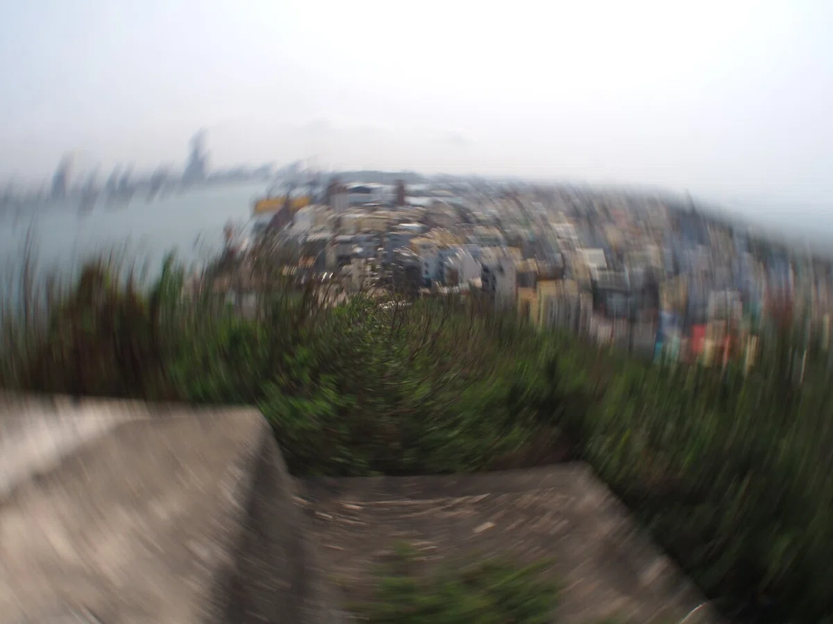 画像9