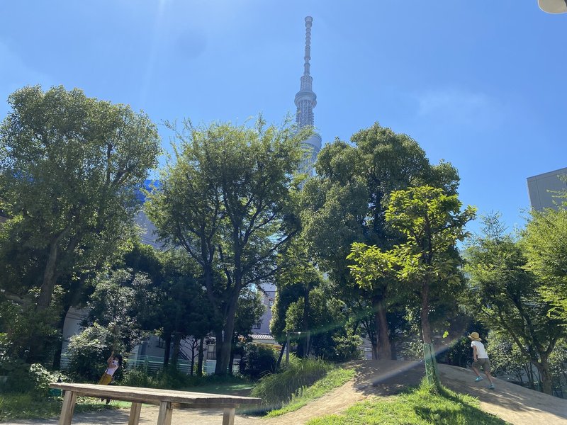 意外と知られていないスカイツリー直下にあるステキな公園 押上公園 わんぱく天国 墨田区押上 荒井禎雄 Note