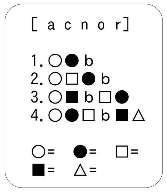 パンダンゴ Pandango No 5 Makoto Sakashima Note