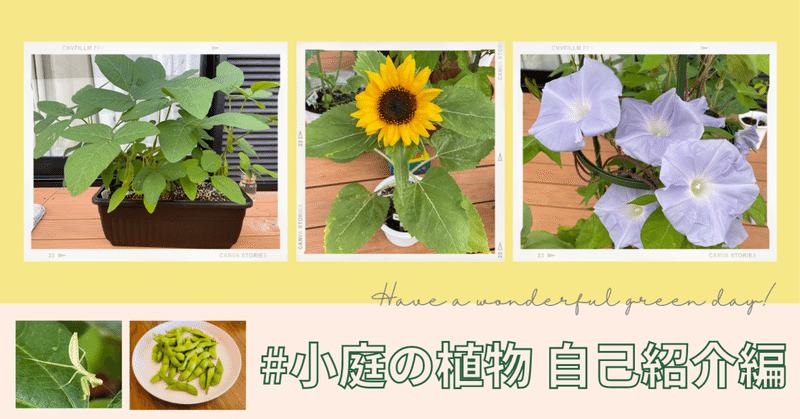 突撃 我が家の植物さん 出演者 阿佐ヶお姉妹 枝豆軍団 コナラ師匠 他 岩下 尚義 Note 突撃 我が家の植物さん 出演者 阿佐ヶお姉妹 枝豆軍団 コナラ師匠 他 岩下 尚義 Note