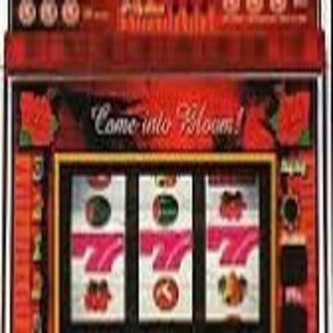 スロット 4号機 ハナハナ30 極悪スイカver 裏物 パイオニア パイオニア：オアシス