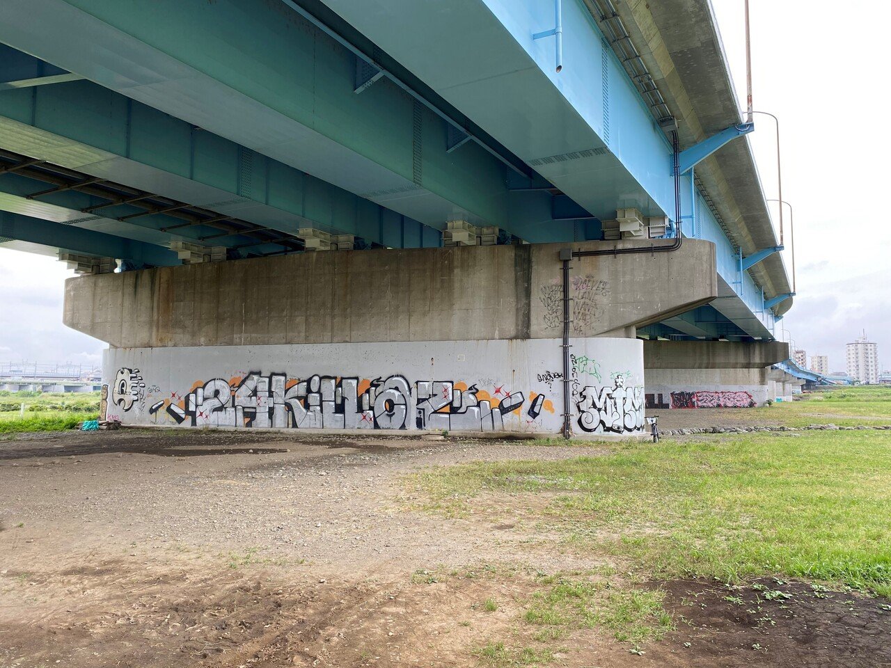 落書き　東山 二子玉川 落書きマッピングプロジェクト」始動！｜common公式