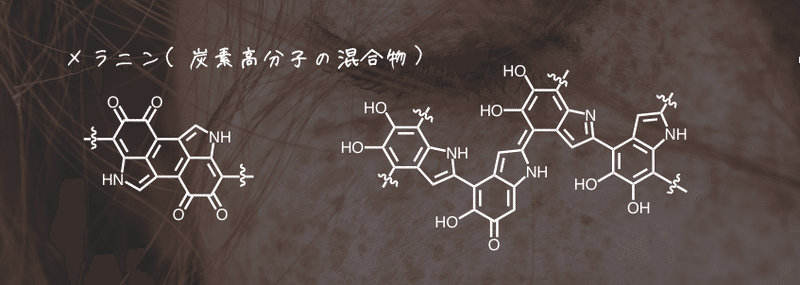 fig2_メラニン