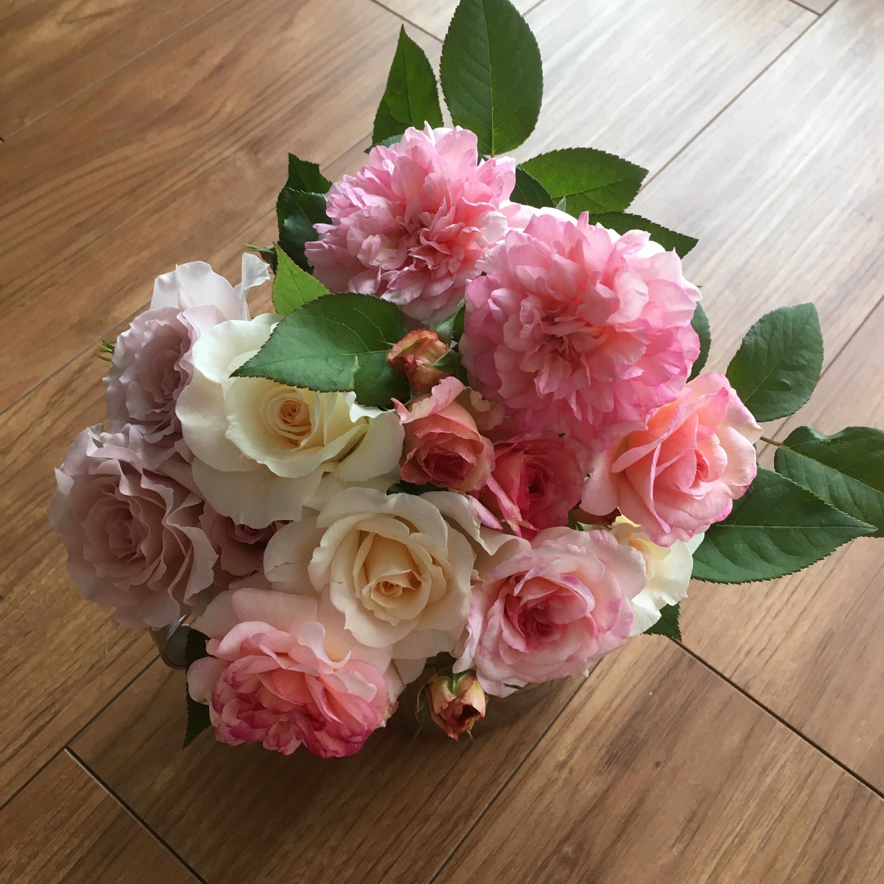 長谷川 潔、巨匠、野花/ビュランのレゾネ、サイン入、新品額装 長谷川 潔、巨匠、野花/ビュランのレゾネ、サイン入、新品額装