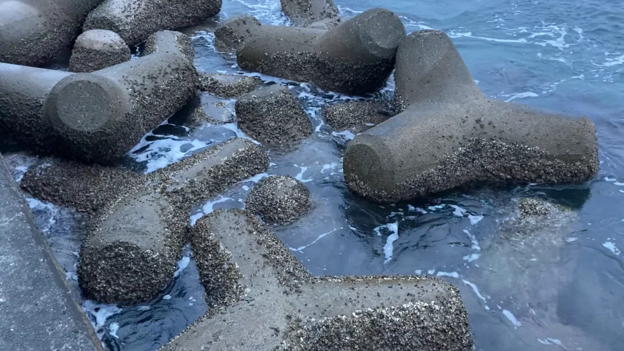 画像49