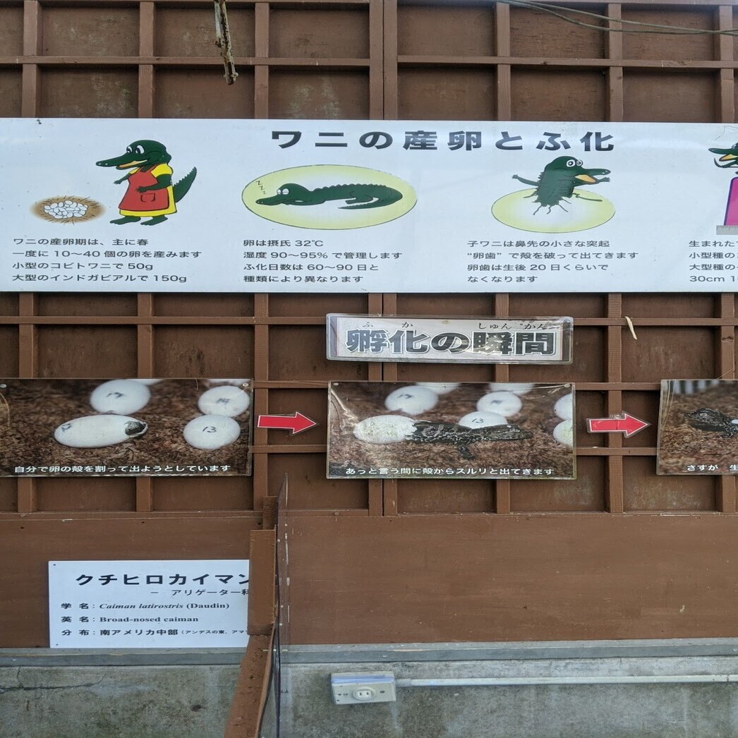 日帰り太郎 Ex4 熱川 ワニバナナ園 すこやかむいむい Note