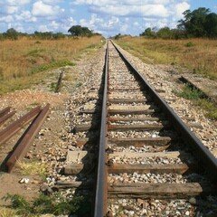 戦争中、中国大陸に木を植えた緑の連隊長・吉松喜三～日本が世界に誇る