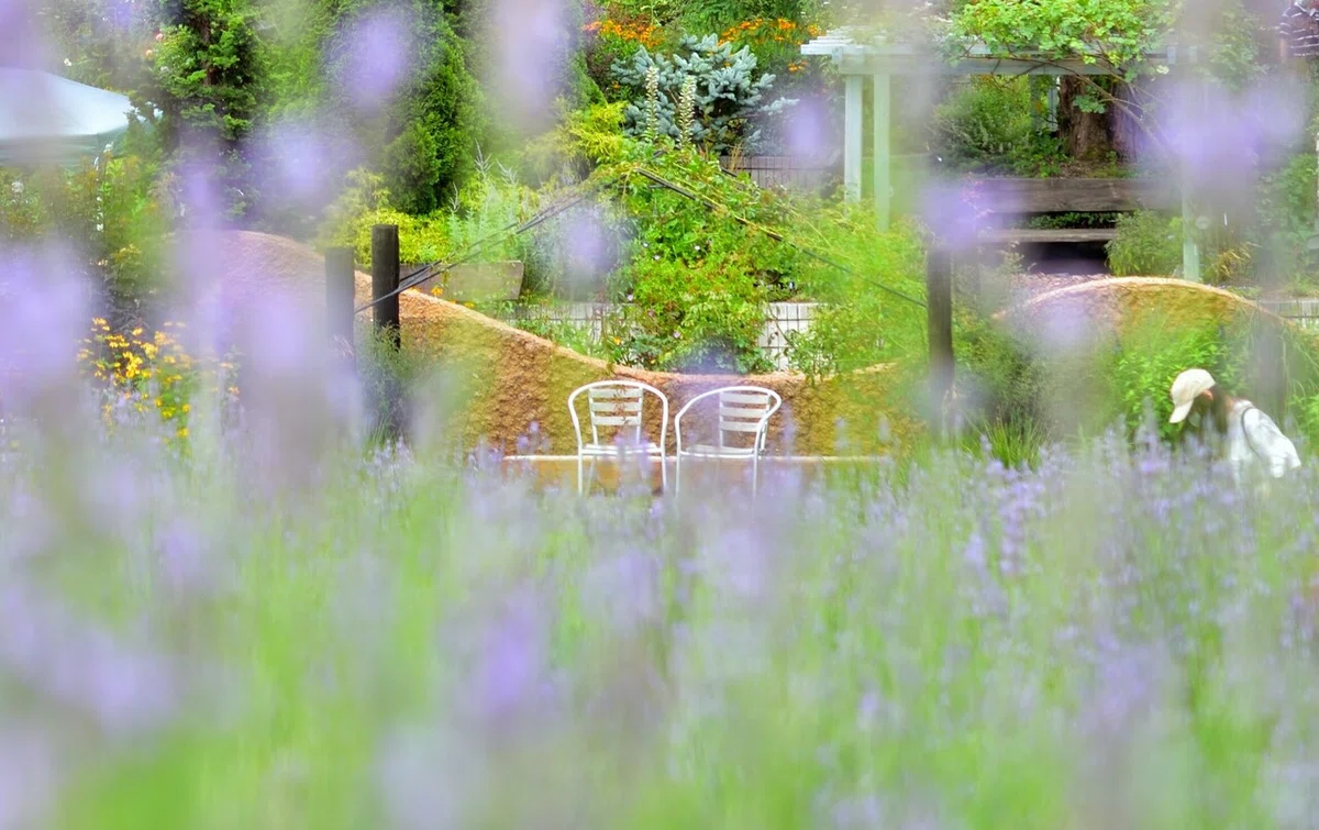 DSC_0967_01 誰か吾を 摘み飾れやと 薫衣草