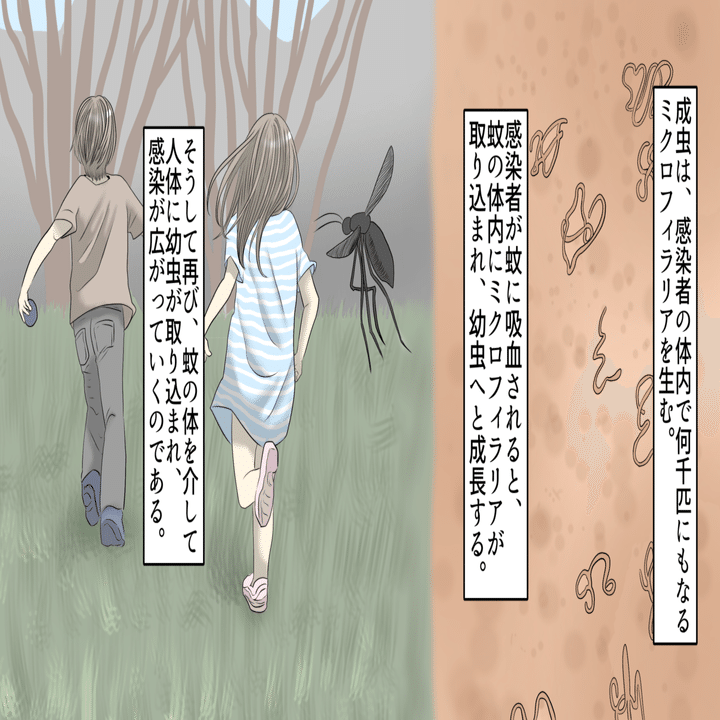 実話 皮膚が象の皮のように変形する 恐ろしい感染症 フィラリア症 とは 漫画 雑学王子トリビアーン Note