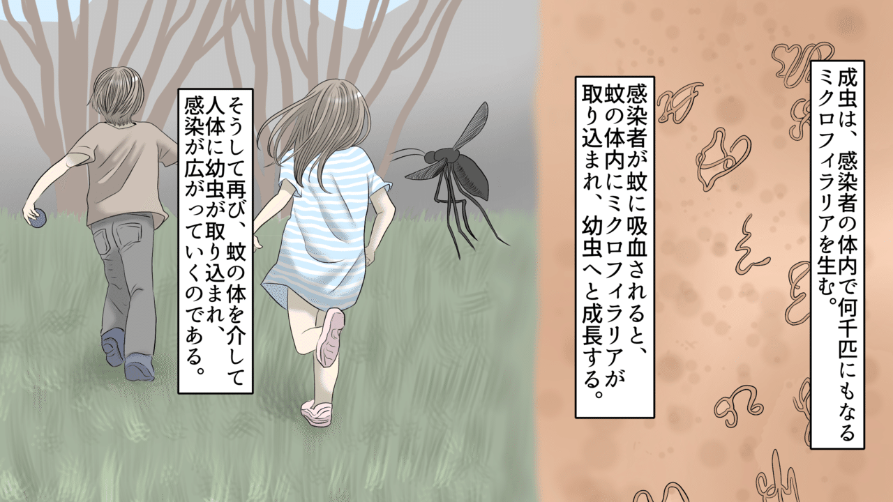 実話 皮膚が象の皮のように変形する 恐ろしい感染症 フィラリア症 とは 漫画 雑学王子トリビアーン Note 実話 皮膚が象の皮のように変形する 恐ろしい感染症 フィラリア症 とは 漫画 雑学王子トリビアーン Note