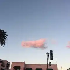 ありんご