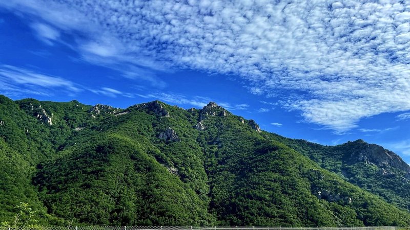 画像13