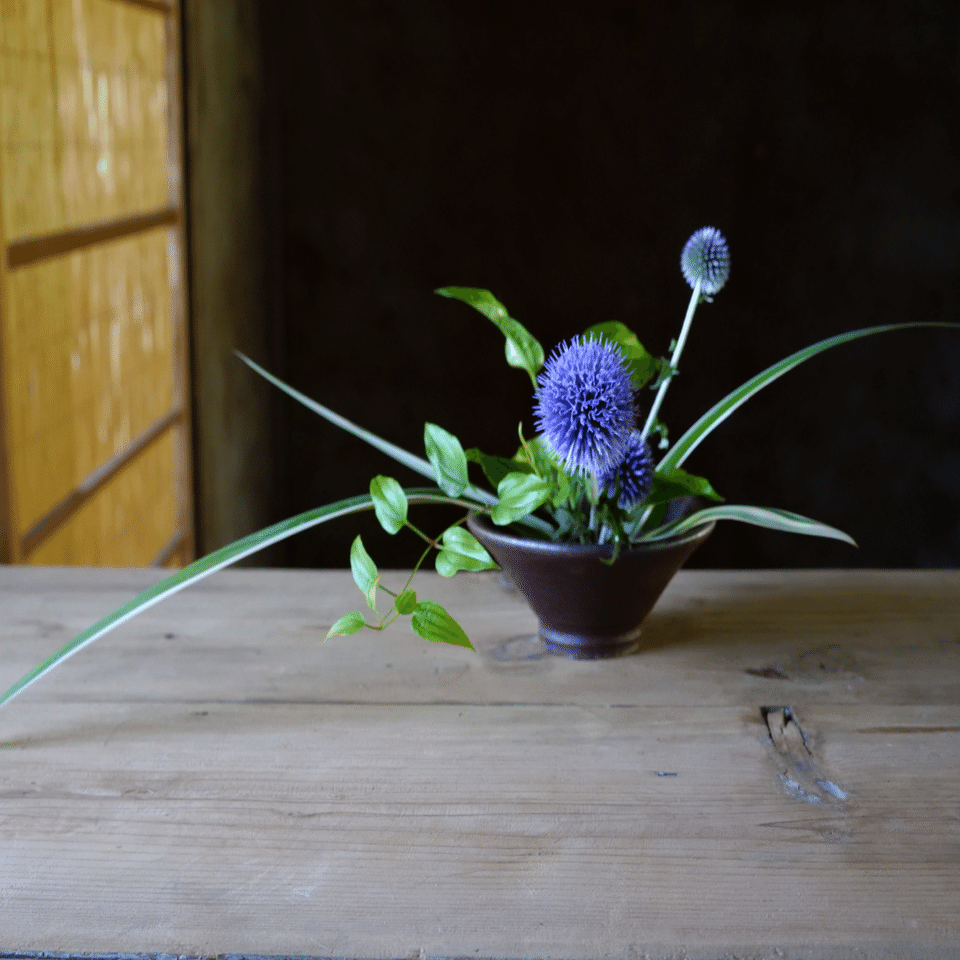 大暑（利休草とルリタマアザミ）#二十四節気の手紙｜trois