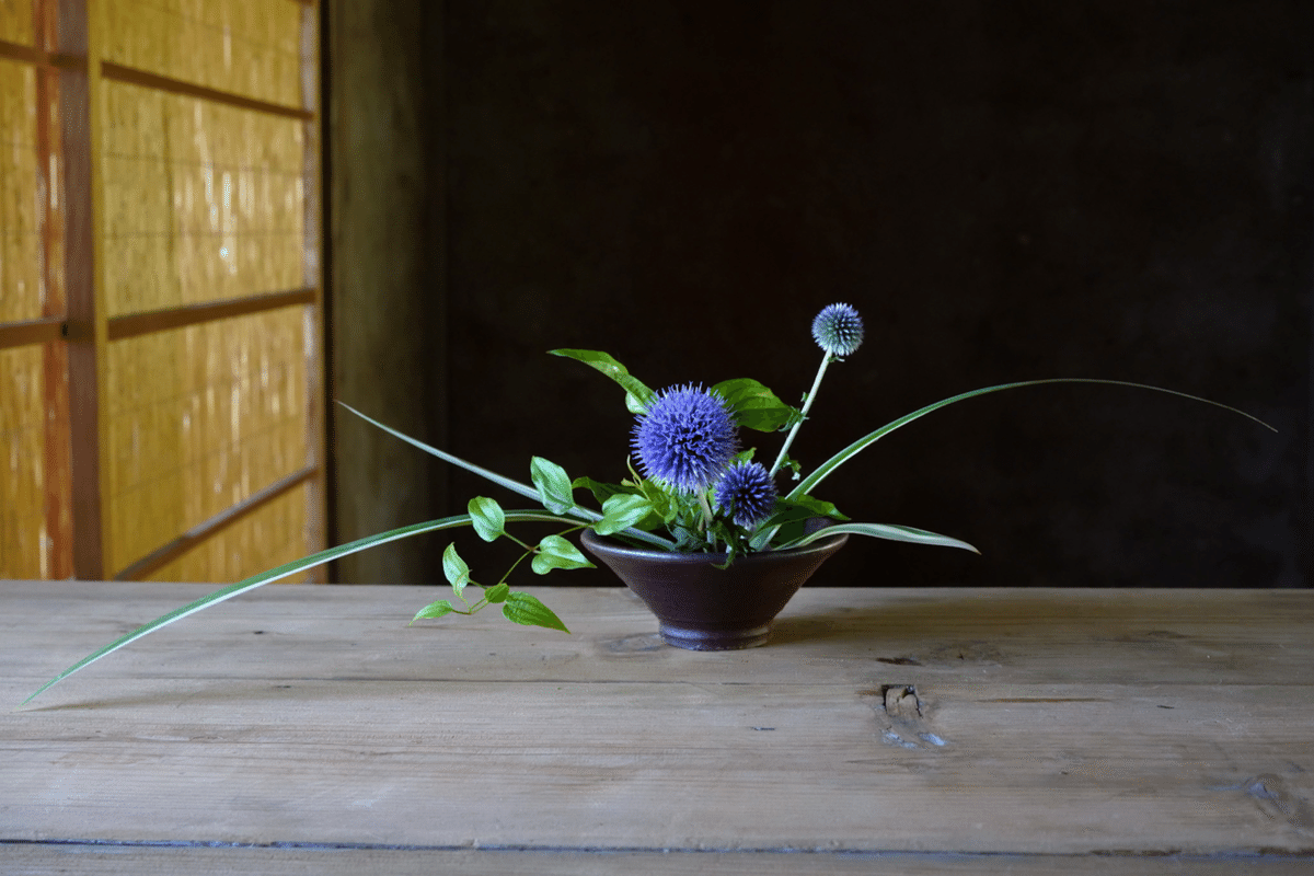 大暑（利休草とルリタマアザミ）#二十四節気の手紙｜trois