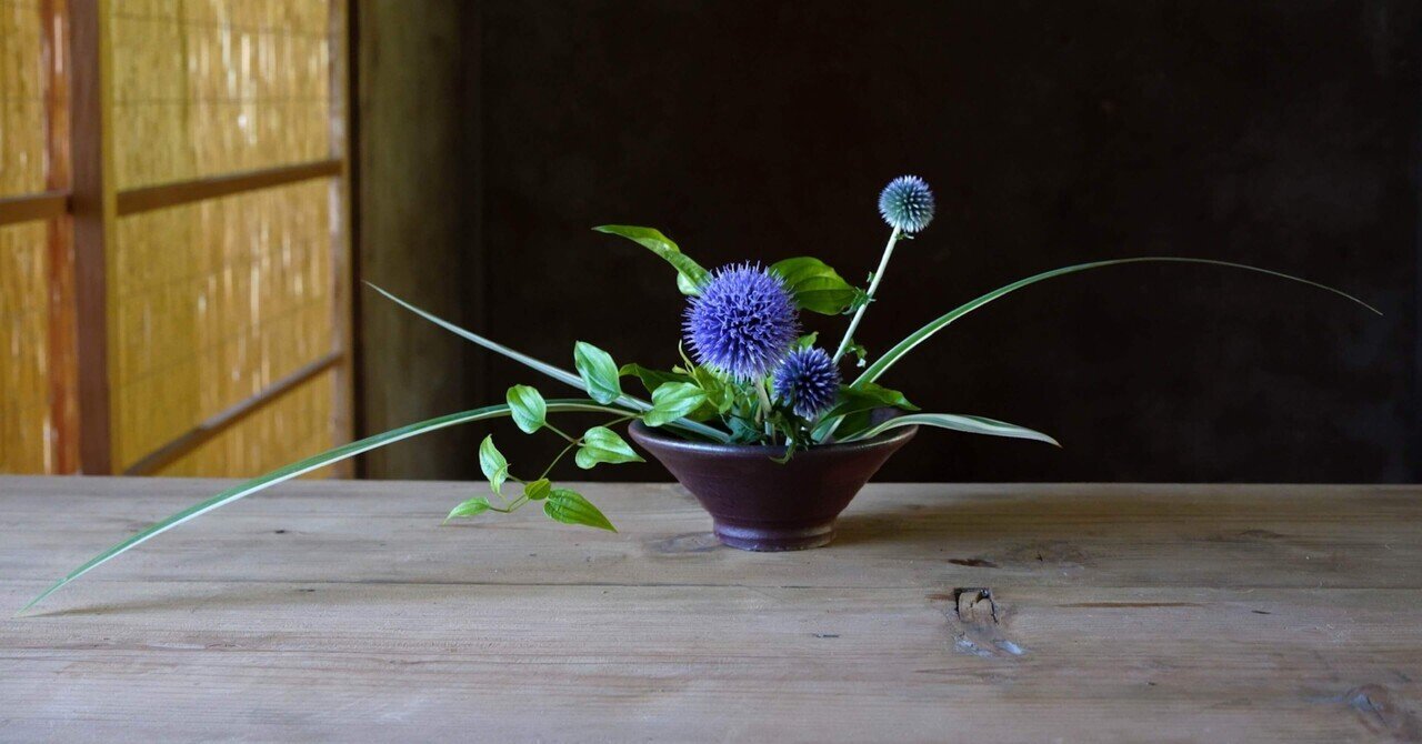 大暑（利休草とルリタマアザミ）#二十四節気の手紙｜trois