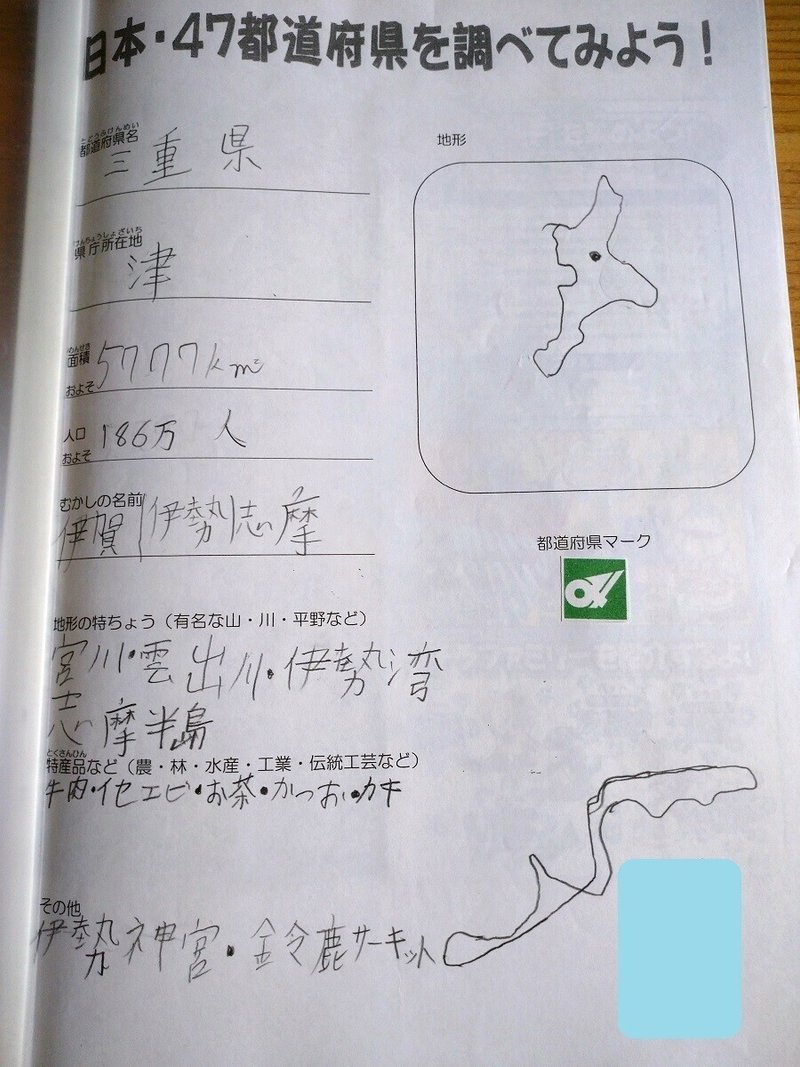 小学生 長期休暇 夏休み 冬休み の自由研究 Yoko S Note