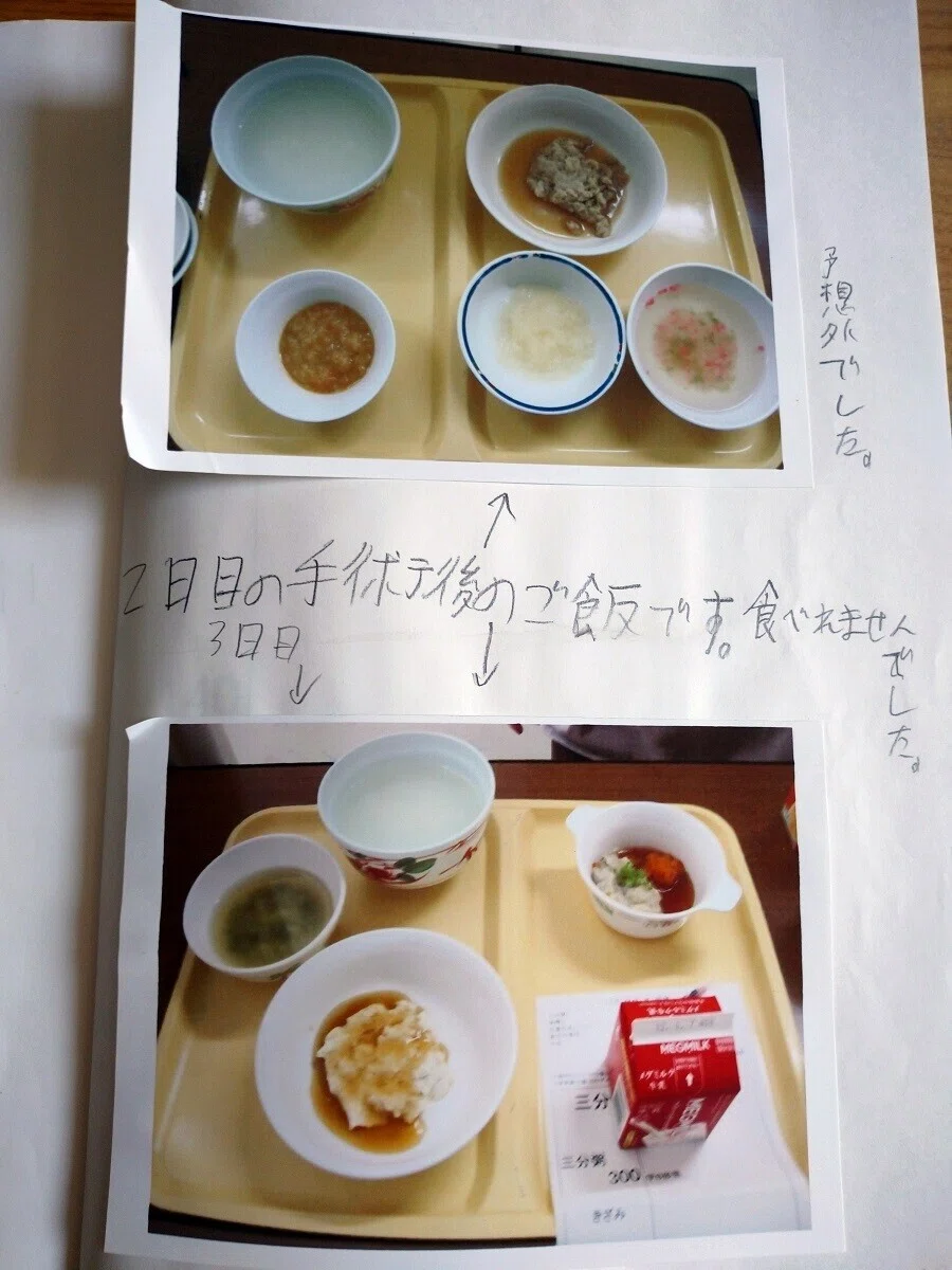 自由研究T5年03