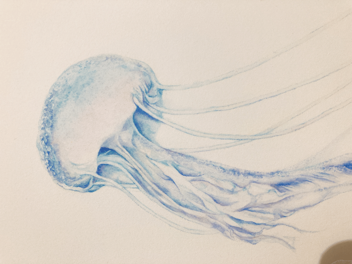 Art Work 『海月』｜atelier tori