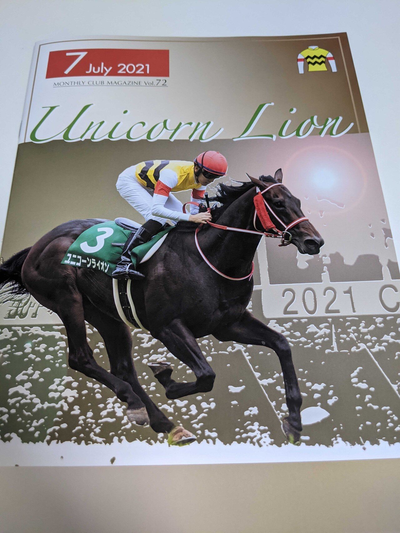 競馬　一口馬主出資パネル IMG_5491-300x197.jpg