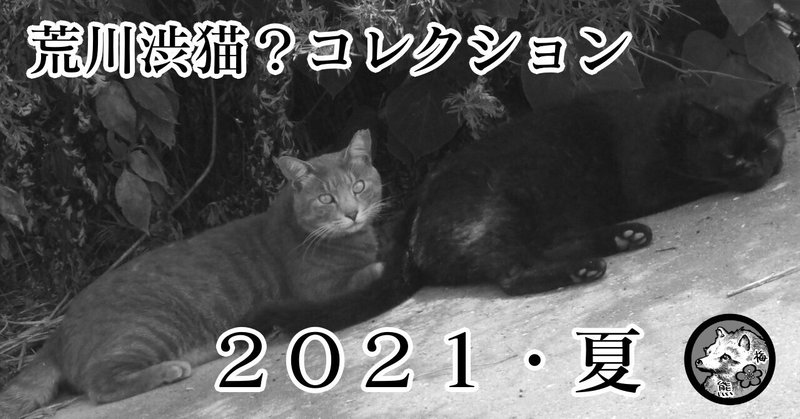 荒川渋猫コレクション2021