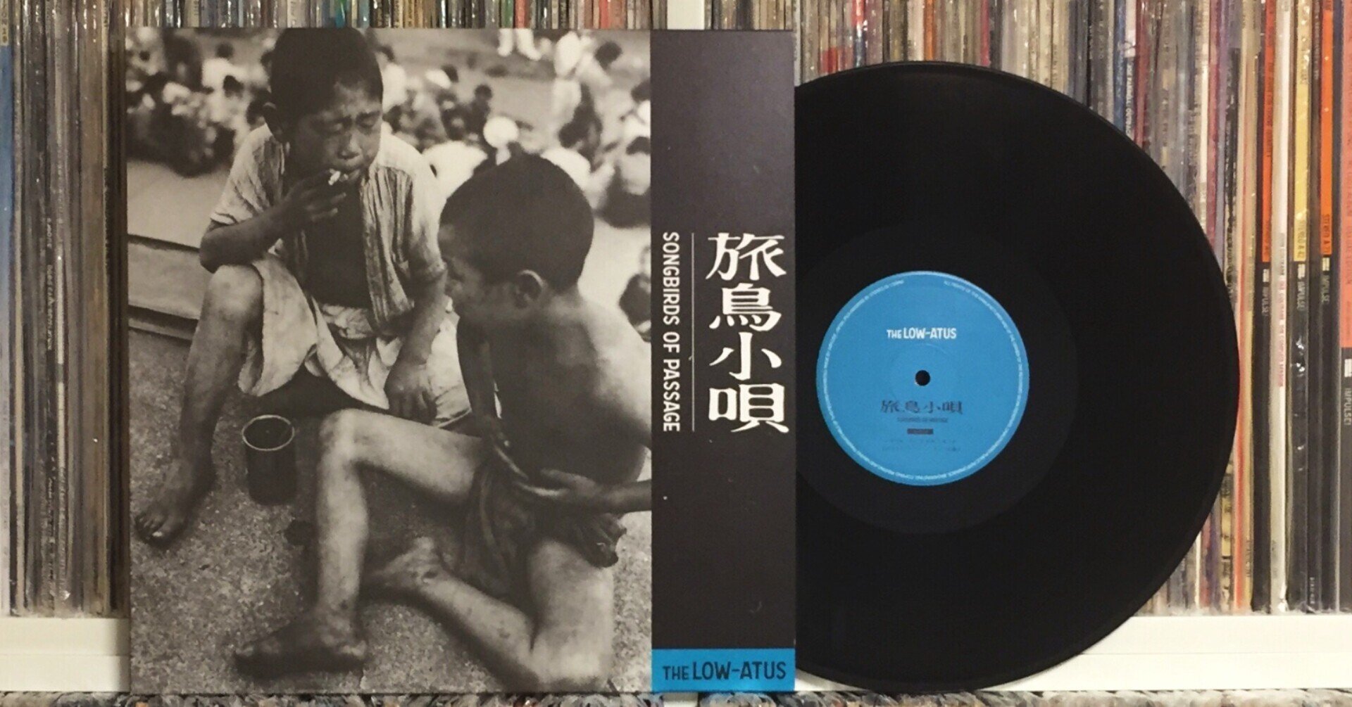 信頼も高い A4額装】the LOW-ATUSタワレコポスター風02細美武士 信頼も高い A4額装】the LOW-ATUSタワレコポスター風02細美武士