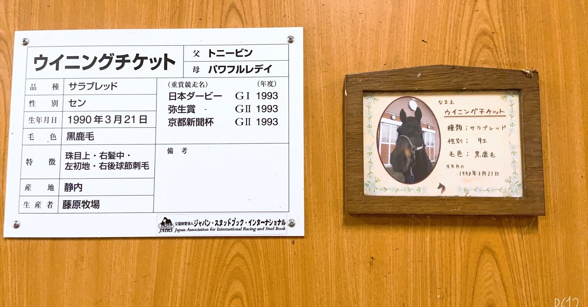 ウマ娘に会いに行った話〜ウイニングチケット〜｜ぶらん
